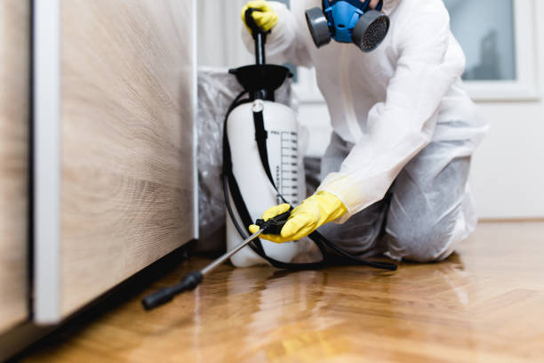 Best Affordable Pest Control Services  in Sharon, PA