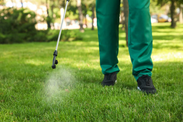 Best Exterminator Services  in Sharon, PA